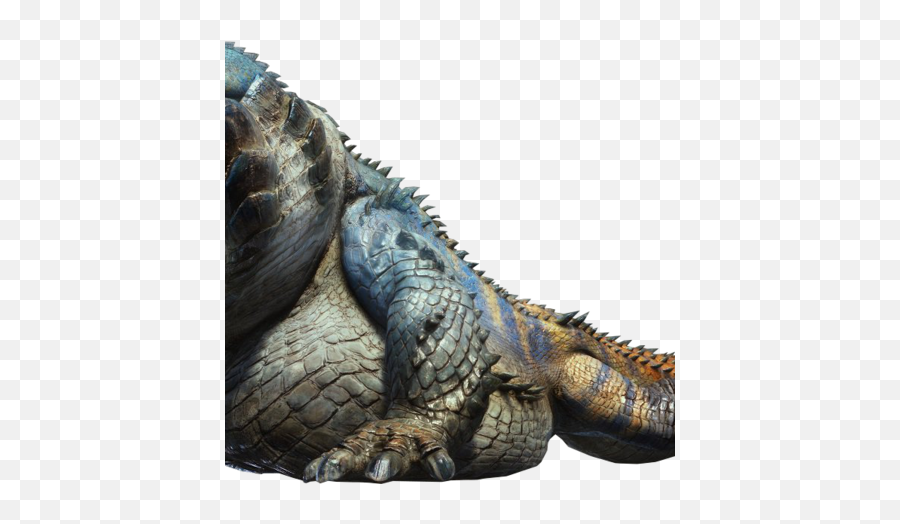 Dodogama Photo Gallery Monster Hunter Wiki Fandom - Monster Hunter World Dodogama Png,Iguana Transparent Background