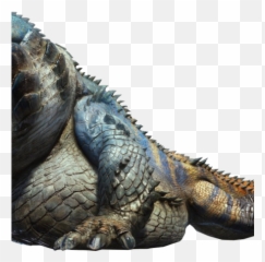 Dodogama Photo Gallery Monster Hunter Wiki Fandom - World png