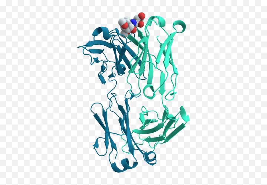 Molecular Depot Peptides Proteins Antibodies And - Protein Cell Transparent Png,Antibody Png