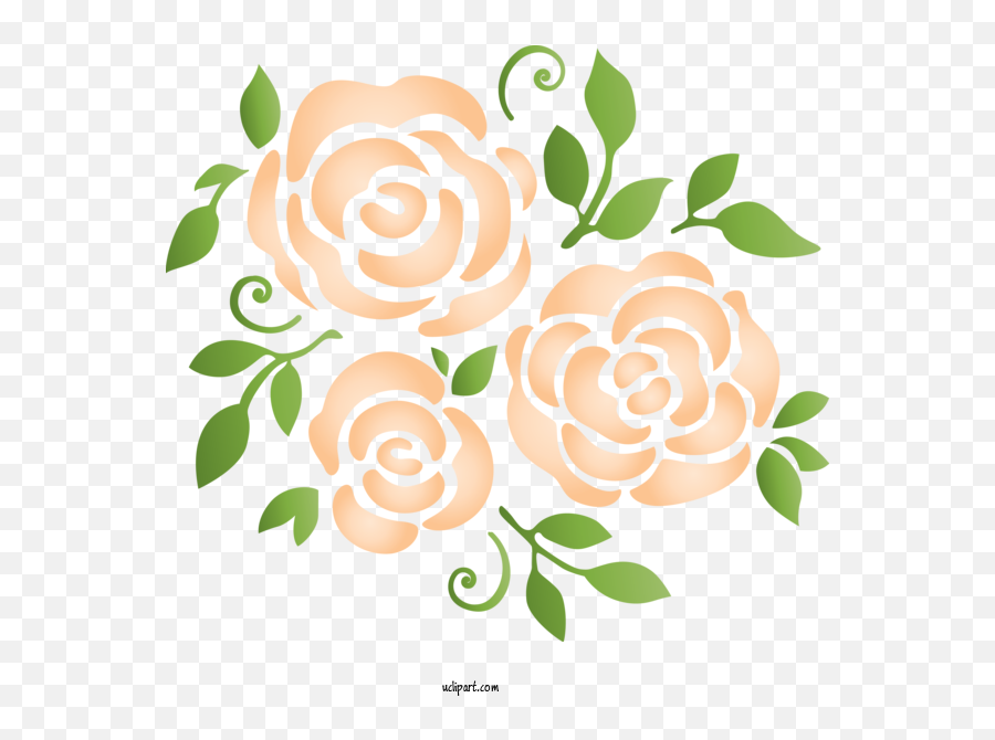 Flowers Leaf Plant Pattern For Rose - Decorative Png,Flower Pattern Transparent