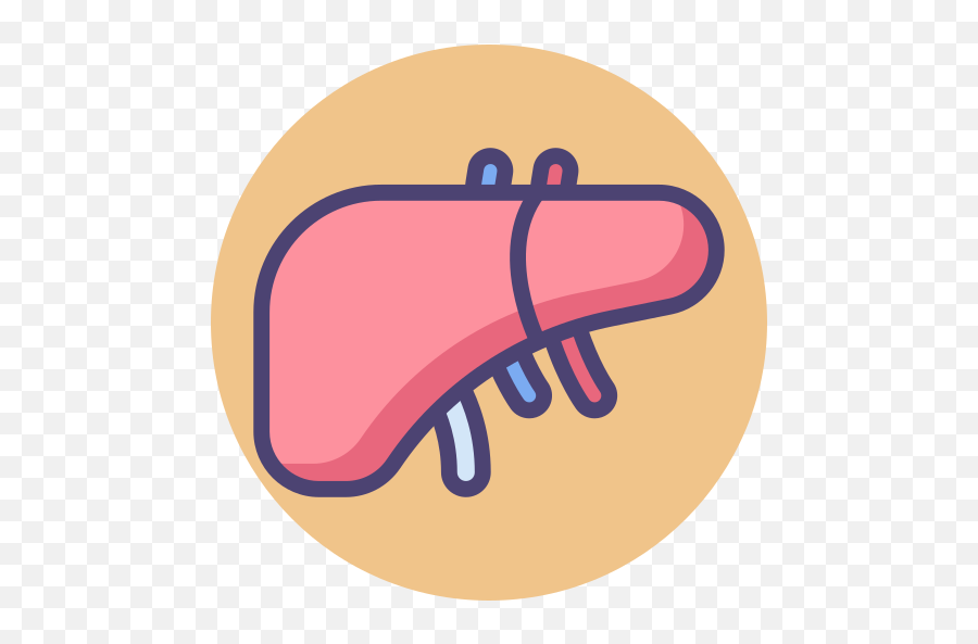 Liver - Big Png,Liver Icon