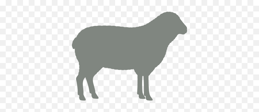 Shaun - Animal Figure Png,Sheep Icon