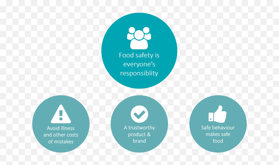 Infocus - Normas Alimentaria Nueva Zelanda Png,Food Safe Icon