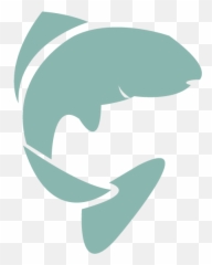 Comments And Testimony - Fisheries Png