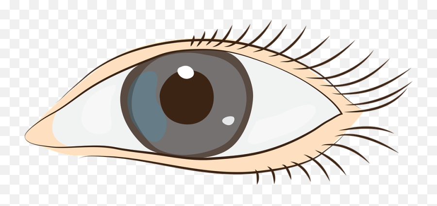 Png Images - Sight Clipart,Ojos Png