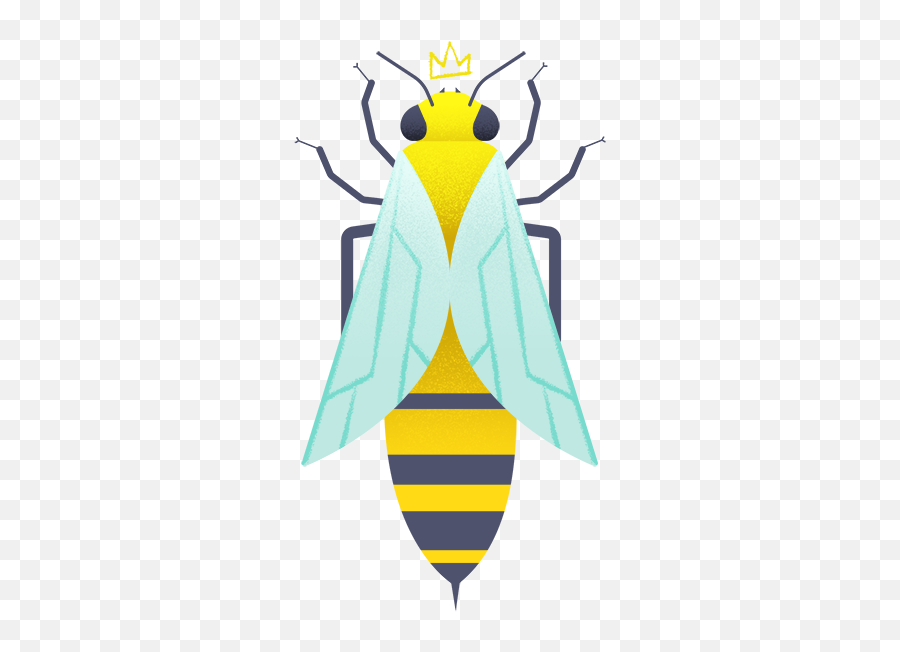 Honey Bees Overview Types Importance Curiosities And Future - Parasitism Png,Bee Icon Vector