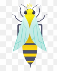 Honey Bees Overview Types Importance Curiosities And Future - Parasitism Png,Bee Icon Vector
