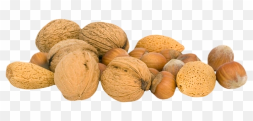 Walnut Transparent Png File - Nuts Transparent,Walnut Transparent