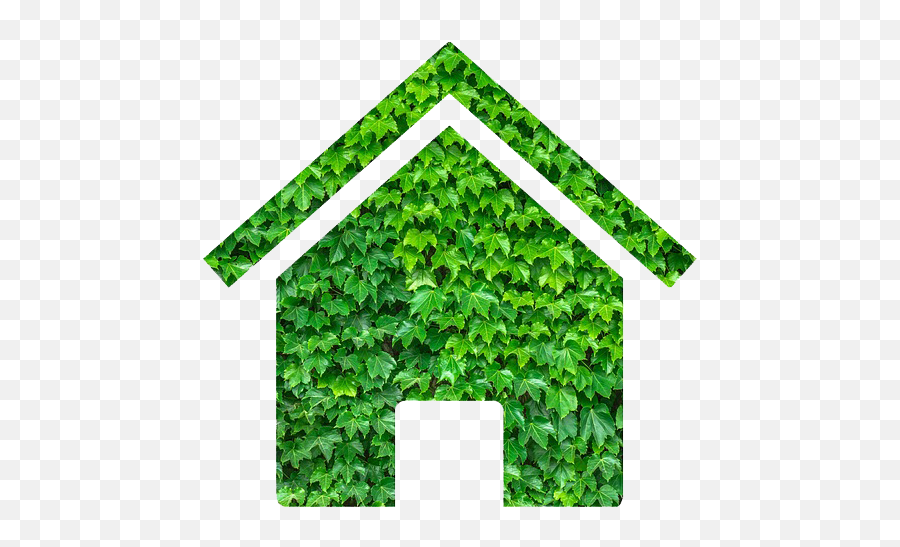 About Mold - Vero Mold Remediation Bastion Prague Png,Green Home Icon