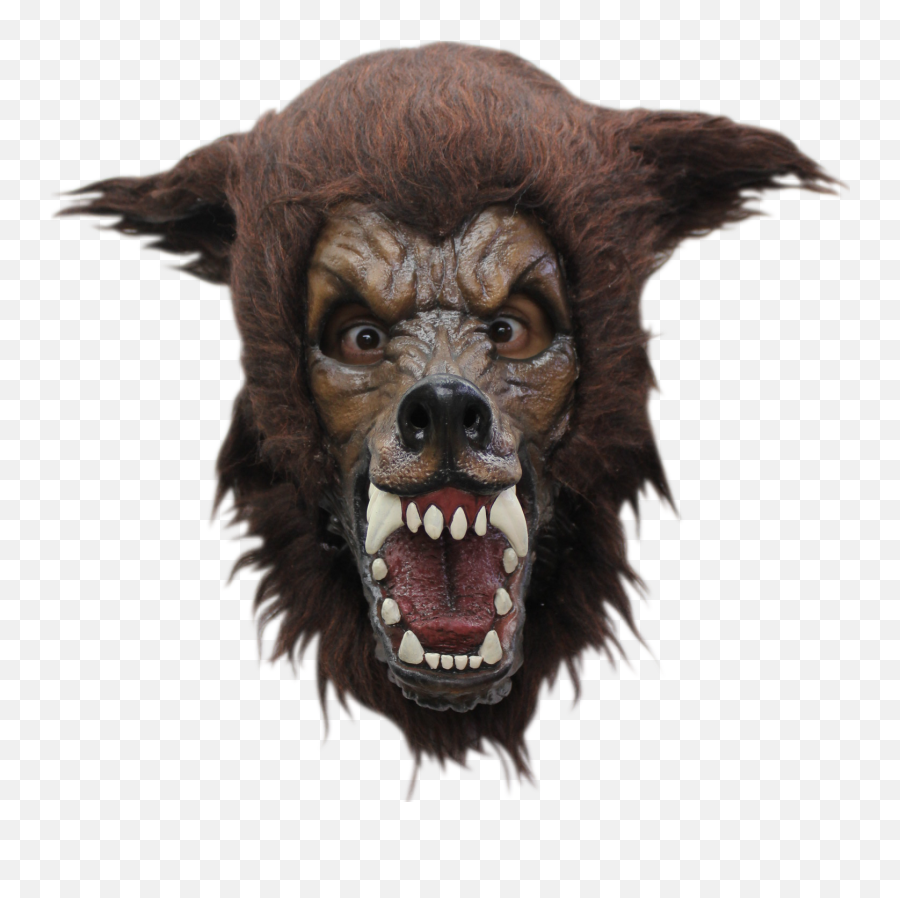 Little Red Riding Hood Ghoulish Werewolf Deluxe Adult Latex Big Bad Wolf Mask - Big Bad Wolf Mask Png,Wolf Face Png