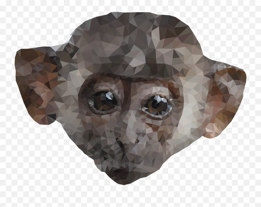 This Free Icons Png Design Of Low Poly Monkey Full Size - Portable Network Graphics,Icon Poly