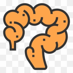 Intestine Icon Download A Vector For Free - Number Poster Png,Gut Icon