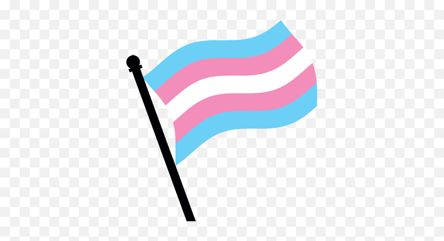 Trans Pride Flag Waving Brighton U0026 Hove Lgbt Switchboard - Trans Flag Png,Gay Pride Flag Png