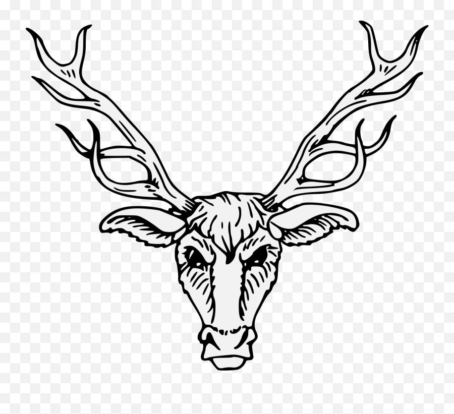 Heraldry Vector Deer Transparent U0026 Png Clipart Free Download - Red Deer Draw Antler,Deer Head Png