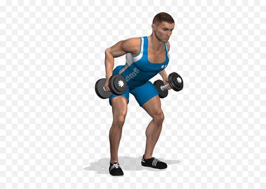 Download Hd Dumbell Png Transparent - Esercizi Dorsali Manubri,Dumbell Png