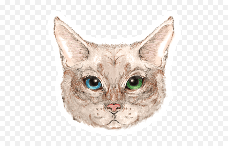 Download Cat Head Sticker - Domestic Cat Png,Cat Head Png