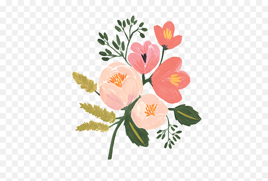 Pin - Rifle Paper Co Flowers Png,Flower Illustration Png
