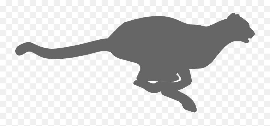 Cheetah Animal Fast - Cheetah Silhouette Png,Cheetah Png