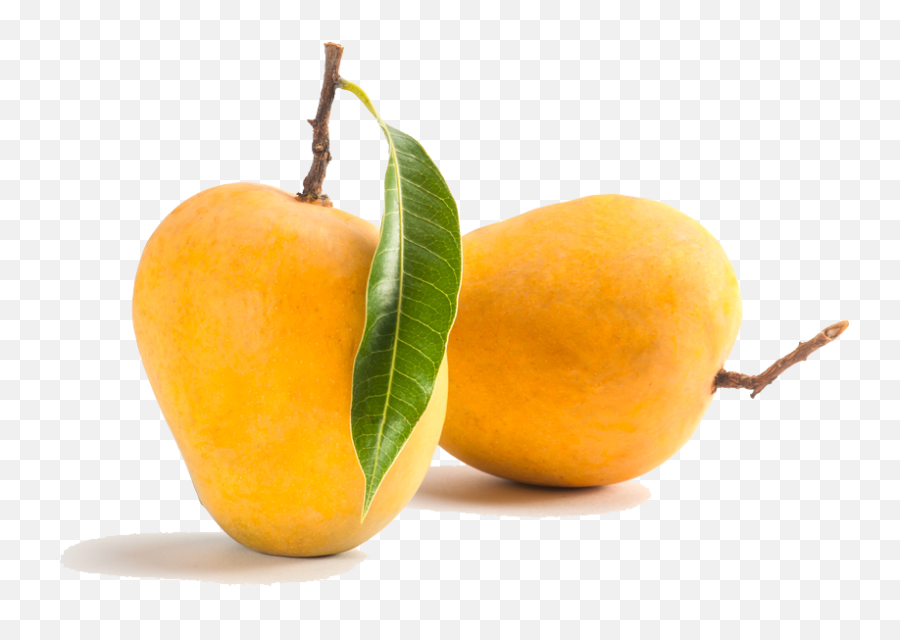 Mango Png Picture - Kesar Mango,Mango Png