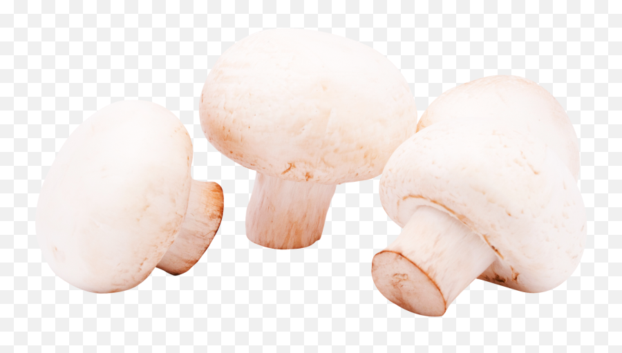 Mushrooms Png Image For Free Download