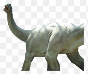 Dinosaurs And The Bible 2010 - Velociraptor Png,Brachiosaurus Png