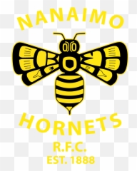 Nanaimo Hornets Online Shop Kukri Sports Shopping Basket - Honeybee Png,Hornets Logo Png