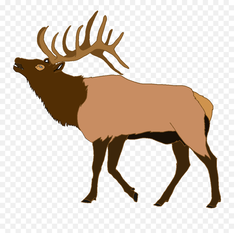 Transparent Elk Clipart - Transparent Elk Clipart Png,Elk Png