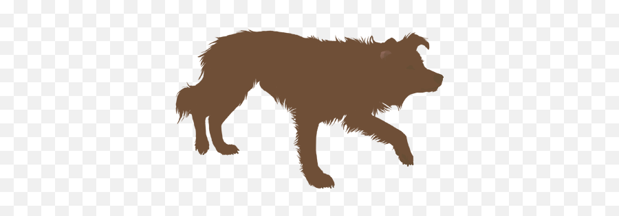 Border Collie Rough Dog Agility - Border Collie Siluet Png,Border Collie Png