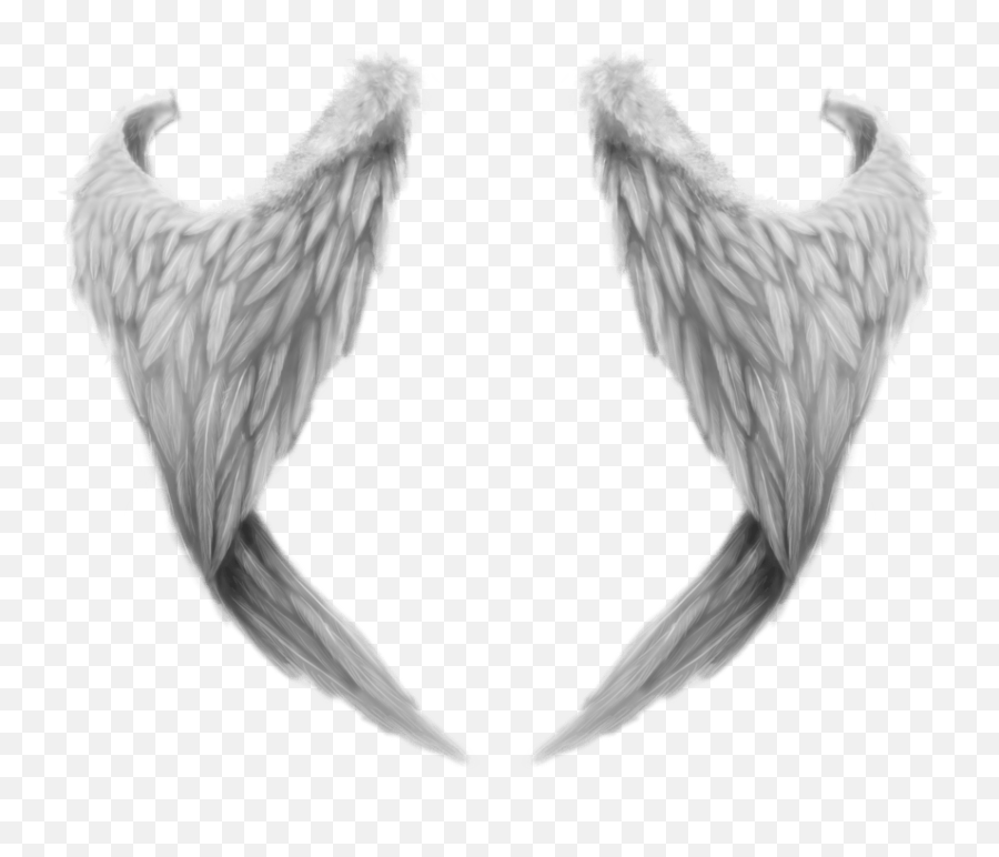 Fantasy Angel Wings Transparent Png - Realistic Angel Wings Png,Black Angel Wings Png