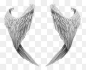 Free Transparent Realistic Angel Wings Png Images Page 1 Pngaaa Com - angel wings roblox wings angel angel wings