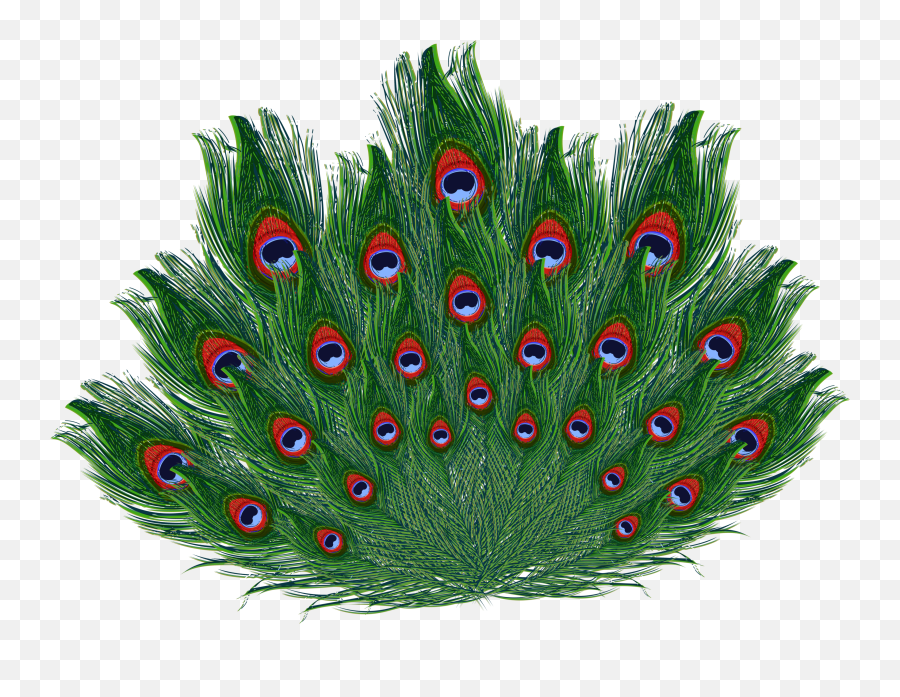 Krishna Images Emoticon Peacock - Peacock Feather Hd Png,Peacock Feather Png
