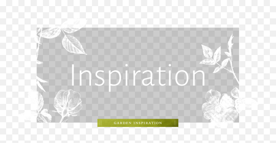 Hd Png Download - Graphic Design,Inspiration Png