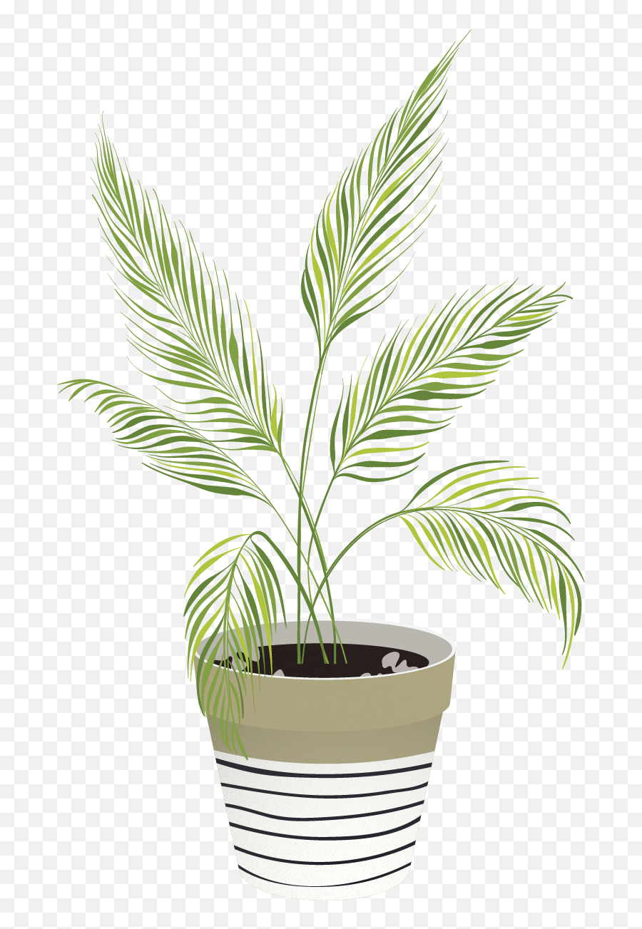 Https - House Plant Vector Png,Indoor Plant Png