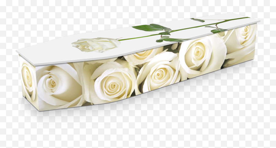 White Roses Custom Coffin Design Expression Coffins - White Rose Coffin Png,White Rose Transparent