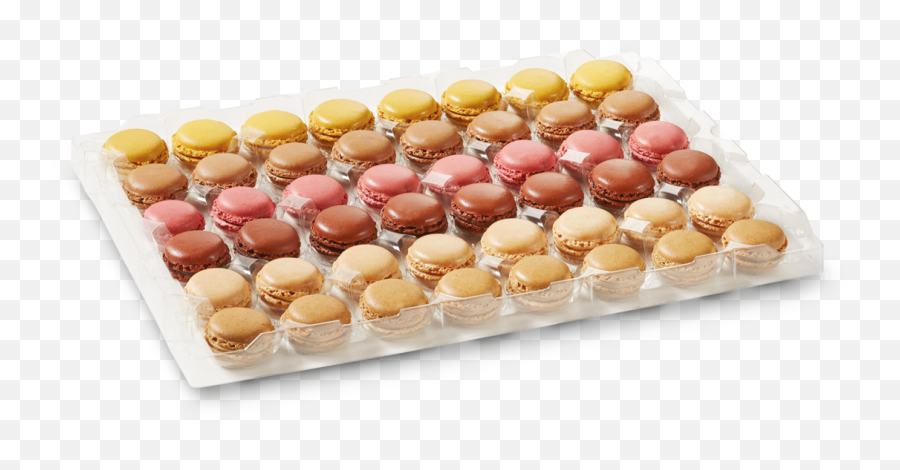 Assortment Of Macarons No2 Pastries Family Catalog - Hard Candy Png,Macaron Png