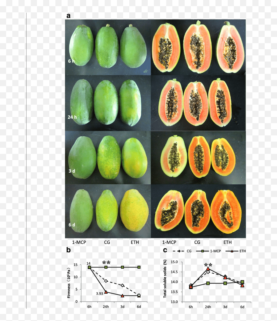 Firmness And Total Soluble Solids Of Papaya Fruits A - Superfood Png,Papaya Png