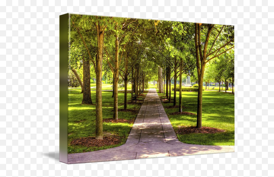 Campus Walkway By Paul Brackley - Summer Park Backgrounds Png,Walkway Png