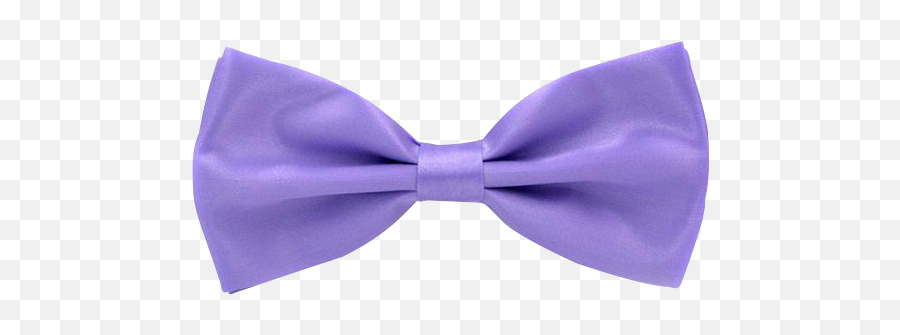 Download Hd Pinion Purple Bow - Men Classic Wedding Bowtie Purple Bow No Background Png,Bowtie Transparent