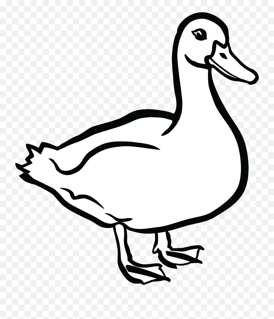 Ducks In The Water Black And White - Duck Black And White Png,Duck Clipart Png