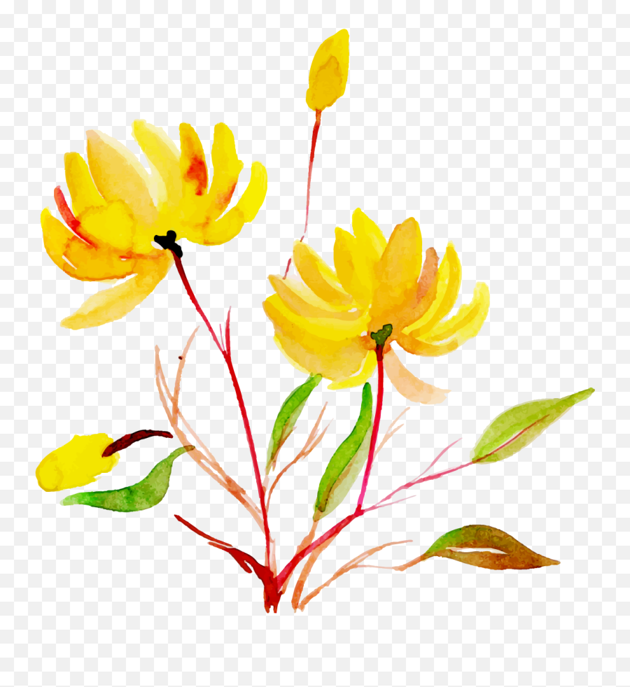 Free Png Watercolor Floral - Konfest,Flower Stem Png