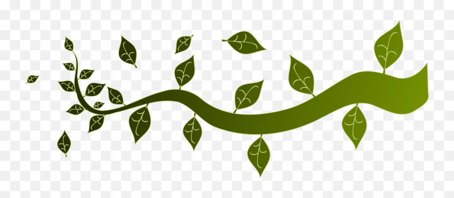 Rtdad5gt9 - Vector Tree Branches Png,Tree Branches Png