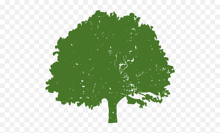 Biomass Heat Works - Tree Png,Biomass Icon