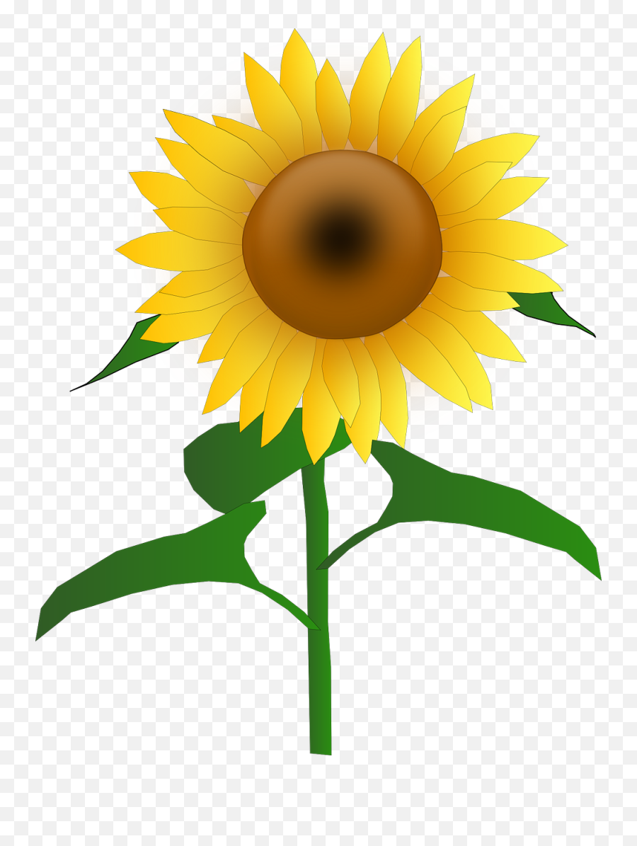 Library Of Free Sunflower Picture Transparent Images - Sun Flower Clipart Png,Transparent Sunflower