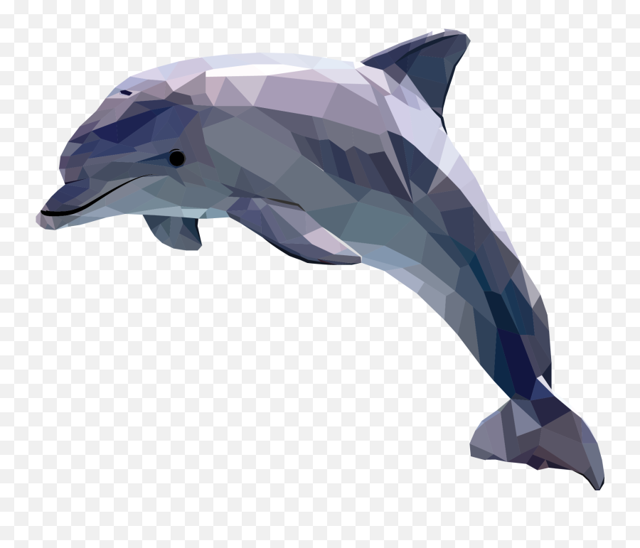 Download Hd Polygonal - Dolphin Clipart Transparent Png Dolphin Polygonal,Dolphin Clipart Png