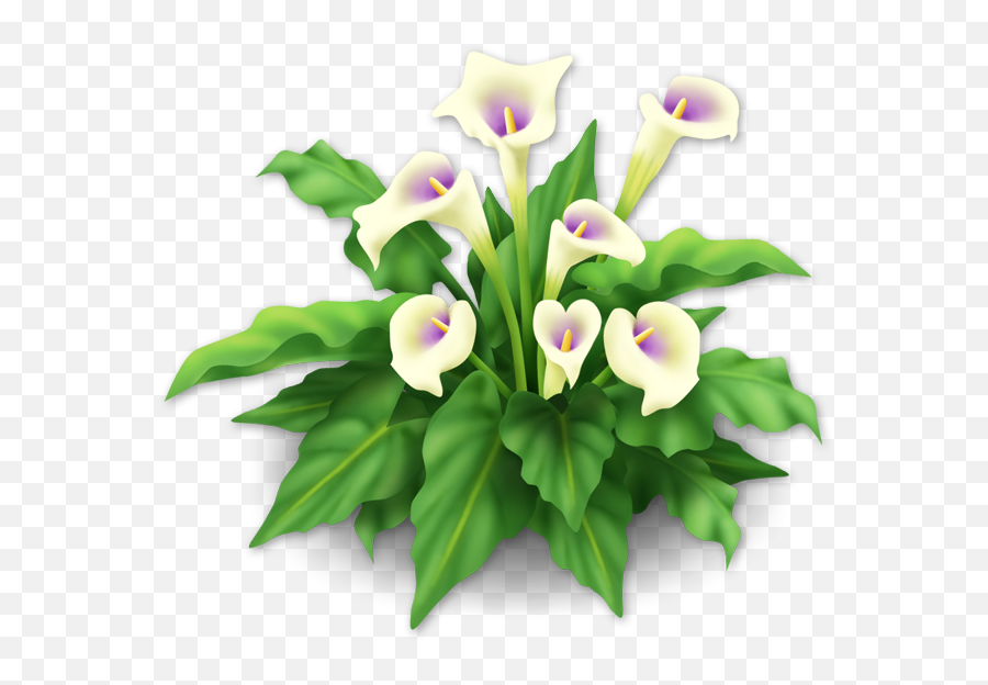 Download Free Png Image - Hay Day Lily,Lilies Png
