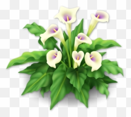 Download Free Png Image - Hay Day Lily