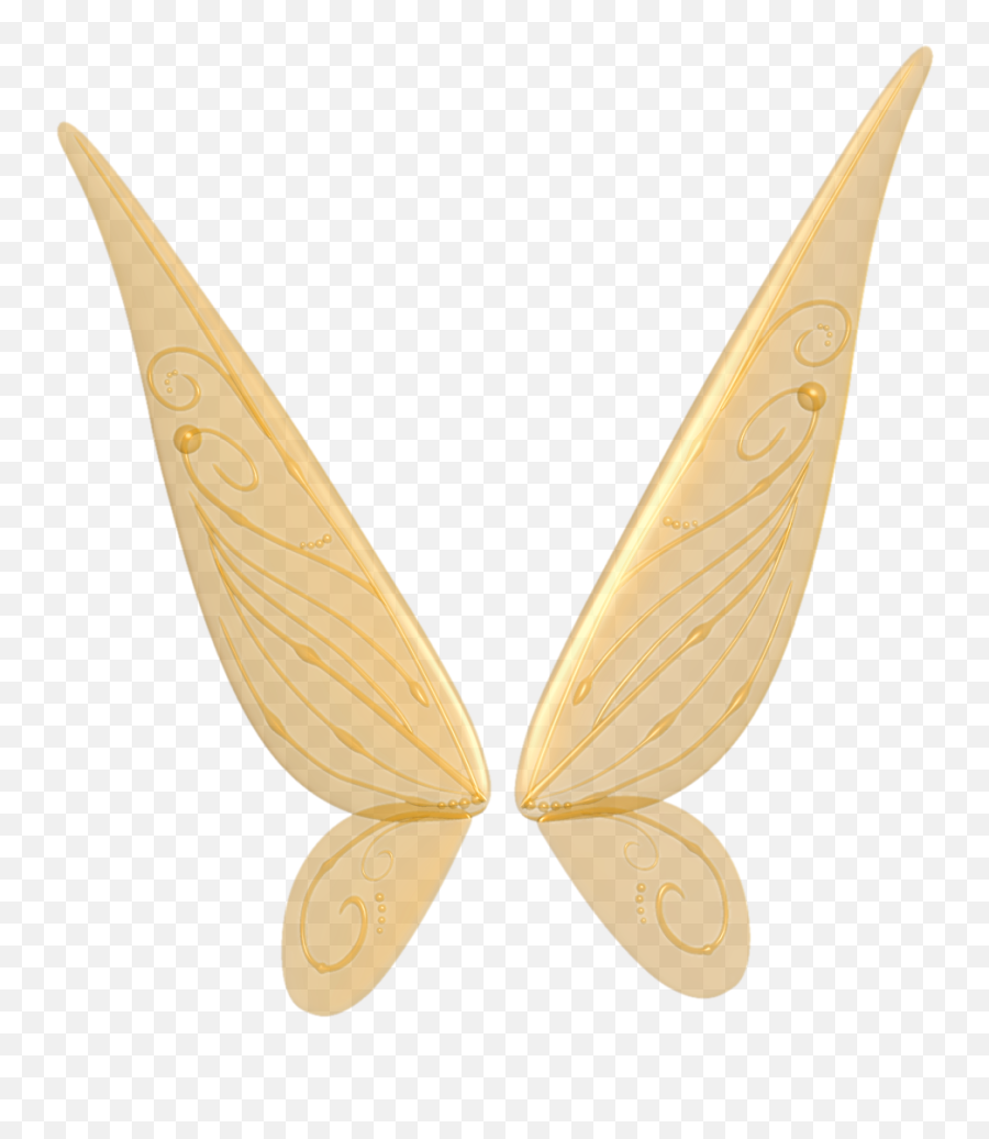Fairy Wings Png Clipart 36473 - Free Icons And Png Backgrounds Tinker Bell Wings Png,Wing Png