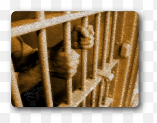 Download Prisoner Grasping Bars - Break Not All Prisión Permanente Revisable png