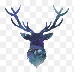 Download Deer Antler Head Horn Hipster Ftestickers - Scalable Vector Graphics png