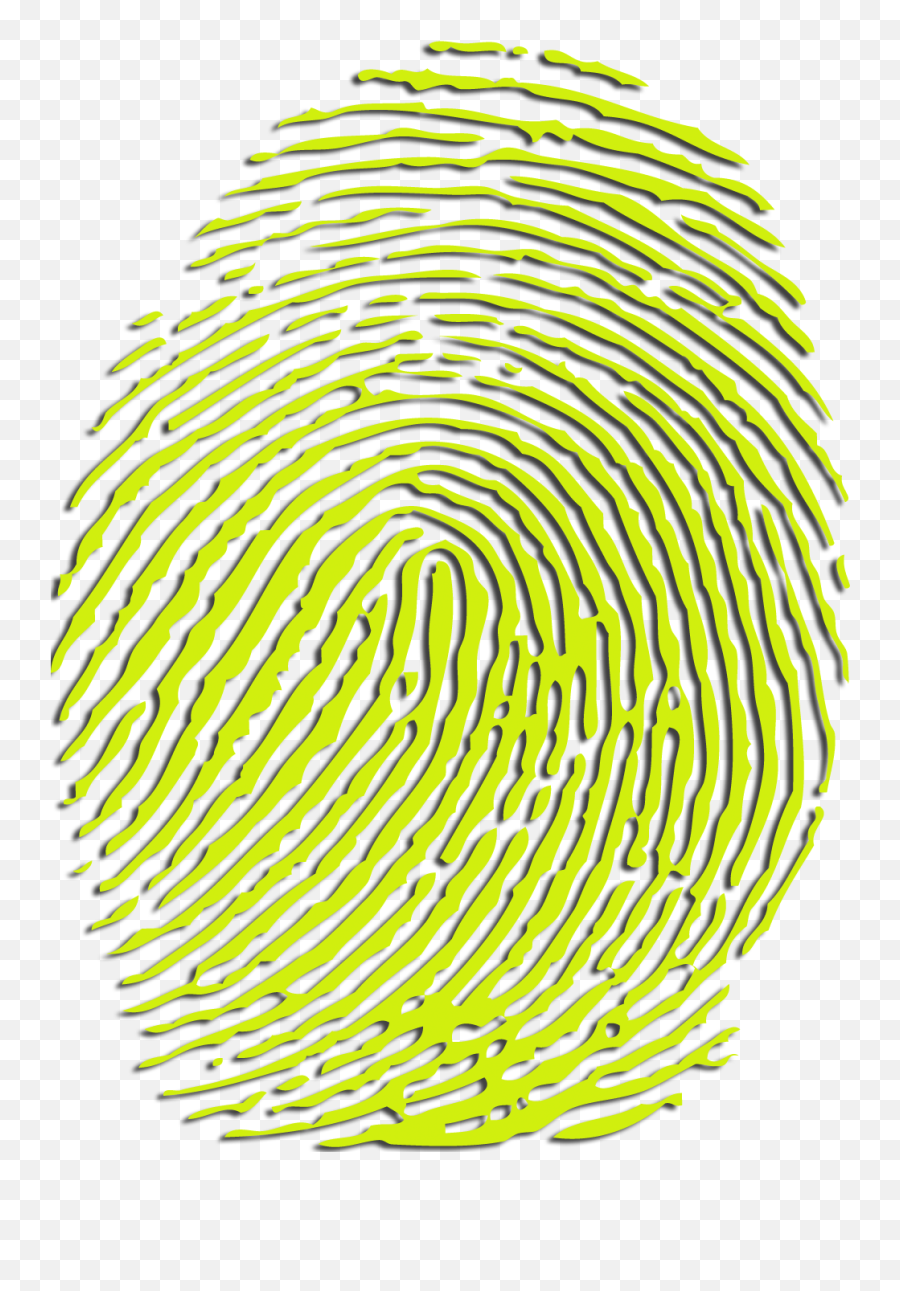 Fingerprint Png 4 Image - Fingerprint Color Png,Finger Print Png